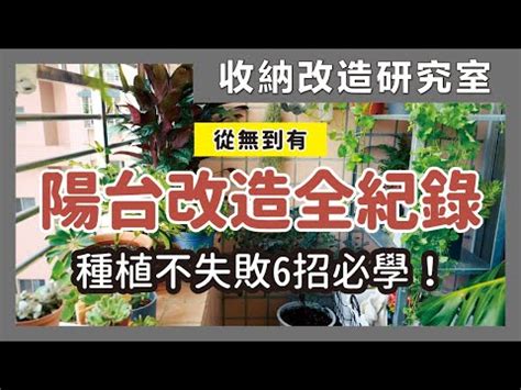 陽台 風水 植物|【陽台植栽】15 種陽台植栽推薦｜新手也能輕鬆養出 